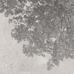 Carta da parati Shades nature - Adriani & Rossi