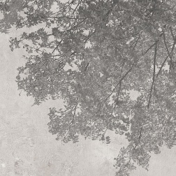 Carta da parati Shades nature - Adriani & Rossi