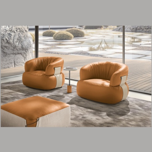 Poltrona Dana Max Divani