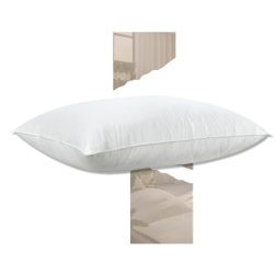 Guanciale Tania Rinaldi Dreamness