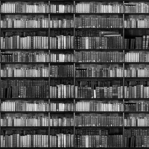 Carta da parati Bookcase 2 - Adriani & Rossi
