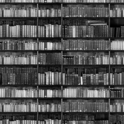 Carta da parati Bookcase 2 - Adriani & Rossi