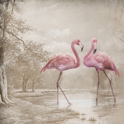 Carta da parati Flamingo 1 - Adriani & Rossi