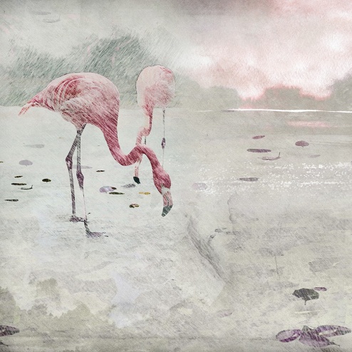 Carta da parati Flamingo 2 - Adriani & Rossi