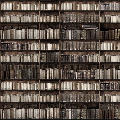 Carta da parati Bookcase 1 - Adriani & Rossi