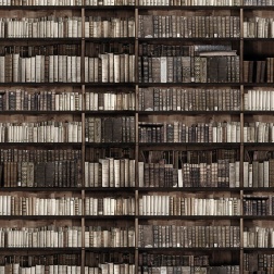 Carta da parati Bookcase 1 - Adriani & Rossi