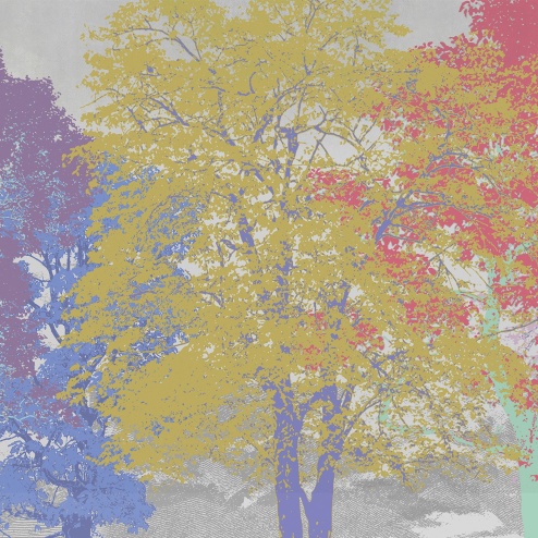 Carta da parati Color Trees - Adriani & Rossi