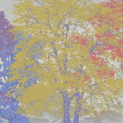 Carta da parati Color Trees - Adriani & Rossi