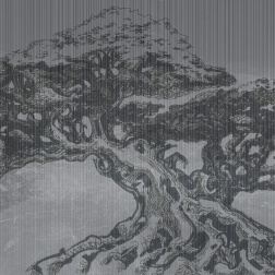 Carta da parati Big Bonsai - Adriani & Rossi