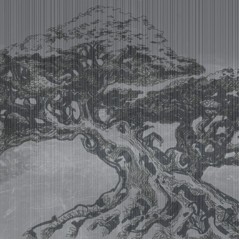 Carta da parati Big Bonsai - Adriani & Rossi