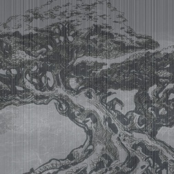 Carta da parati Big Bonsai - Adriani & Rossi