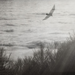 Carta da parati Atmosphere 2 - Adriani & Rossi